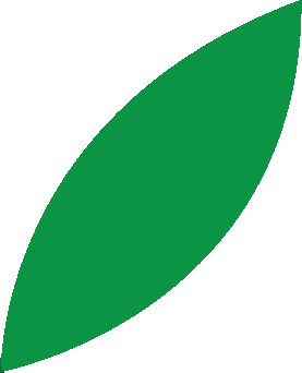 leaf1.png